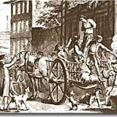 Timeline: Journey Through Time In American