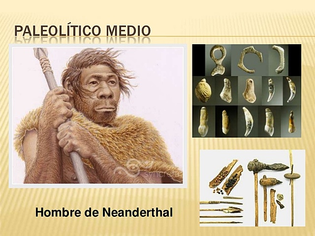 Paleolítico medio