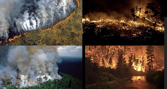 L’amazones s’està creman (fet climàtic)