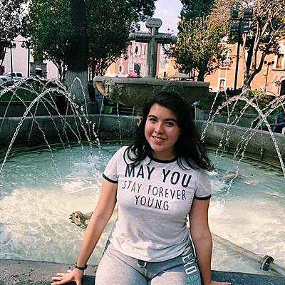 Timeline: My own timeline