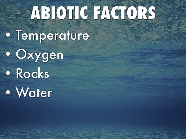 Abiotic Factors of an Ecosystem