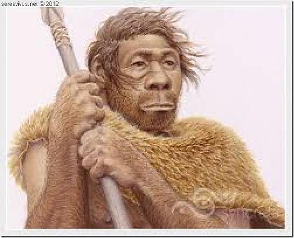 Apareixen els primers humans