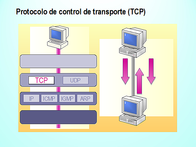 Protocolo TCP