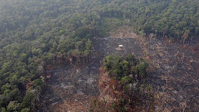 Ontbossing Amazone voor Landbouw in Brazilië