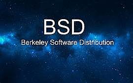 BSD