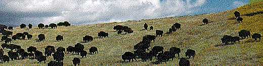 Government Restricts Native Americans