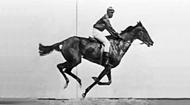 Timeline: Moving Pictures