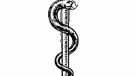 Timeline: History of Medicine