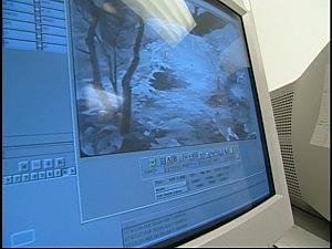 Computer Animation Production System (CAPS)