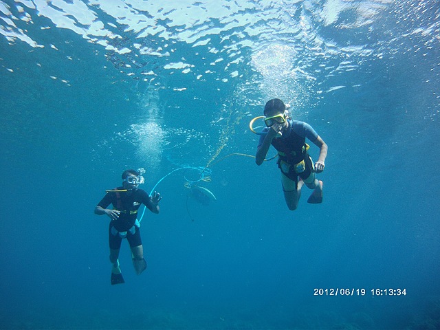 Fuimos al submarinismo en Hawaii.