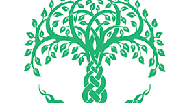 Timeline: Mi Vida - Anamaría Goli