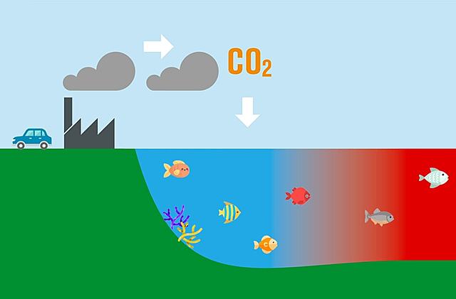 Ocean acidification