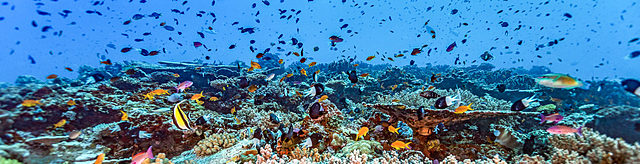 great barrier reef in 2018