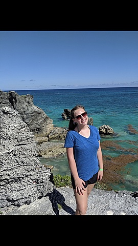 Fui a Bermuda y Nueva York