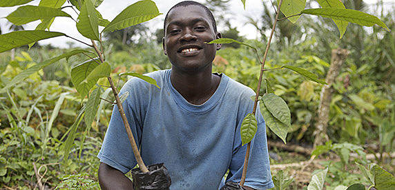Creación de Valor Compartido (2006-hoy)