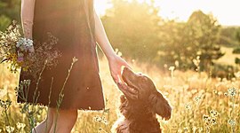 Timeline: Жизнь Тима