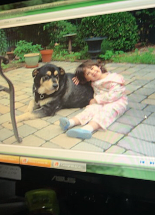 Mi perro Spanky murio.