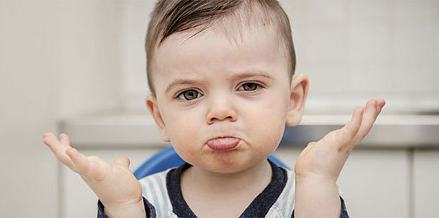 1 año 4 meses - 1 año 9 meses