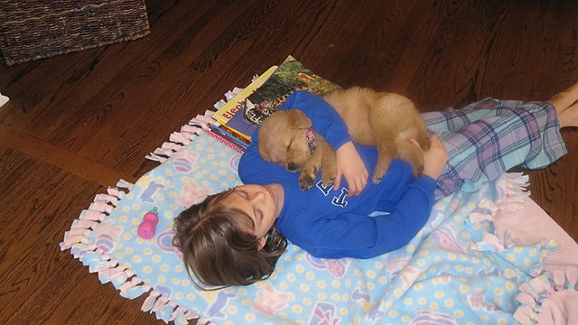 Obtuve mi perro Daisy