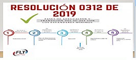 Resolución 0312