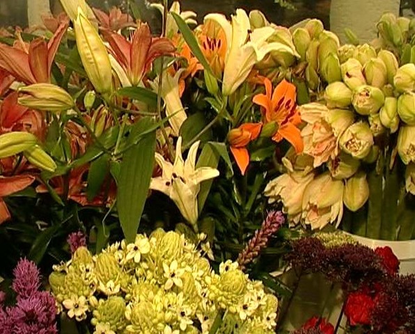 компания "Пусть цветут сто цветов, пусть соперничают сто школ"