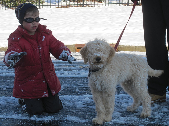Recibé mi perro Baxter