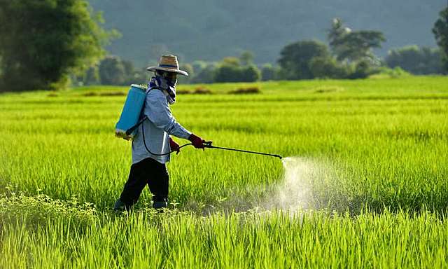 The use of pesticides