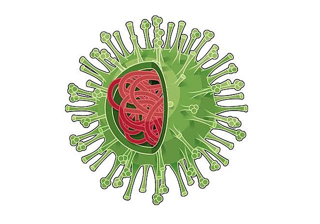 Lançamento da Campanha Nacional de Prevenção ao H1N1