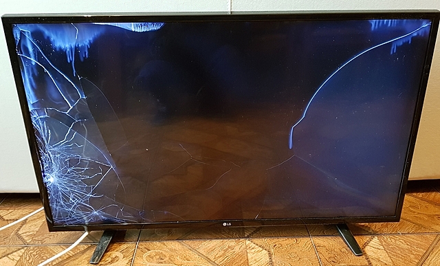 FLAT-SCREEN PLASMA DISPLAY, FUJITSU