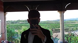 Timeline: La línea the time