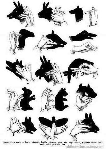 Primeros antecedentes