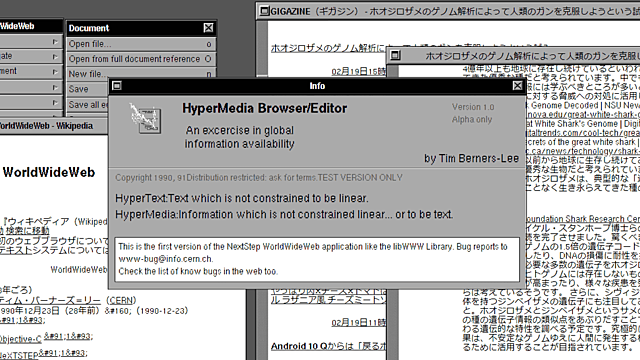 Se hace oficial la World Wide Web