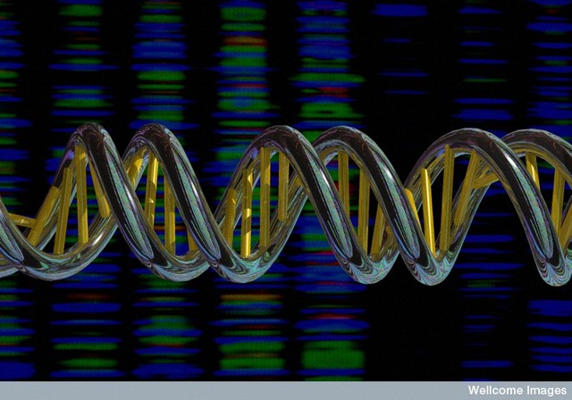 molecula hereditaria
