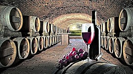Timeline: Historia del vino