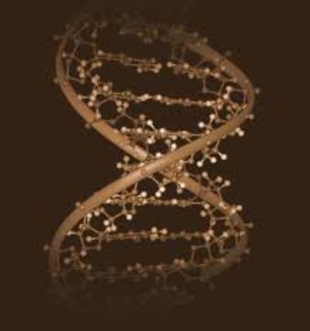 entrecruzamiento cromosomico