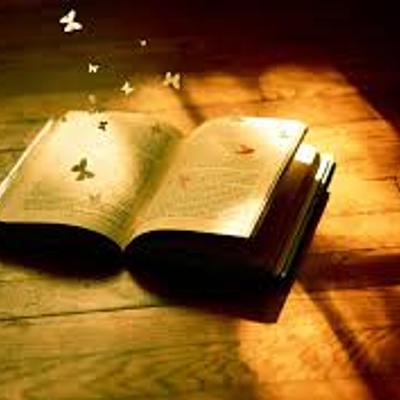 Timeline: DIARIO de LECTURAS