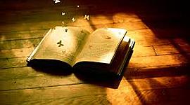 Timeline: DIARIO de LECTURAS