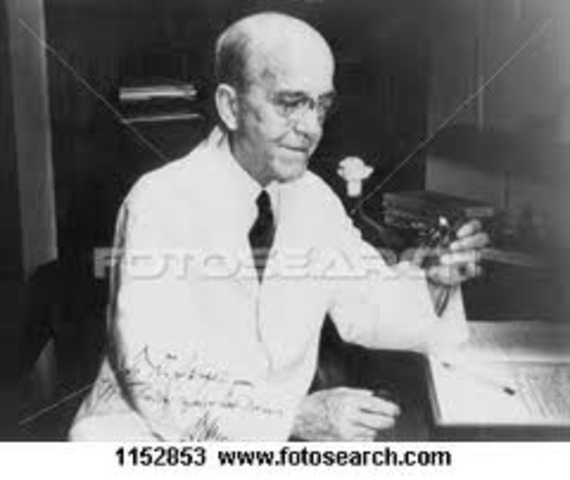 principio trasnsformante