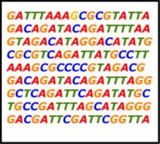 secuenciacion del adn