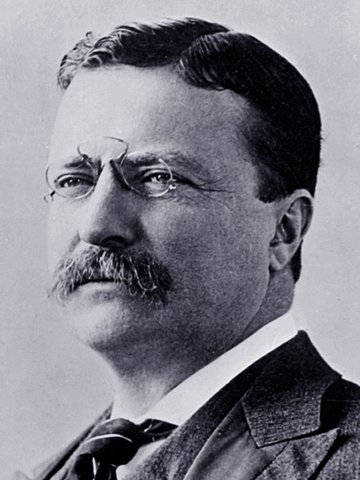Theodore Roosevelt Born