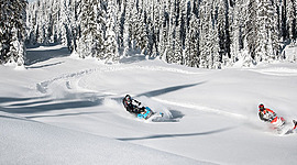 Timeline: 9 Months Of Pregnancy