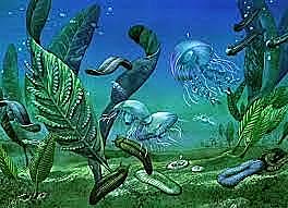 Proterosoikum ehk agueoon