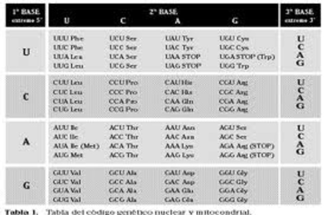 proyecto genoma humano
