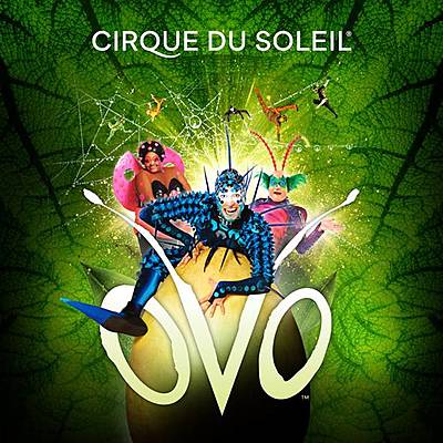 Timeline: Cirque Du Solei