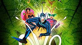 Timeline: Cirque Du Solei