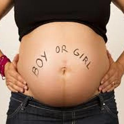 Timeline: Pregnancy Timeline