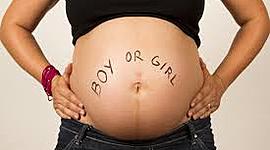 Timeline: Pregnancy Timeline