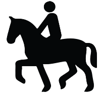 Primera competició de hìpica