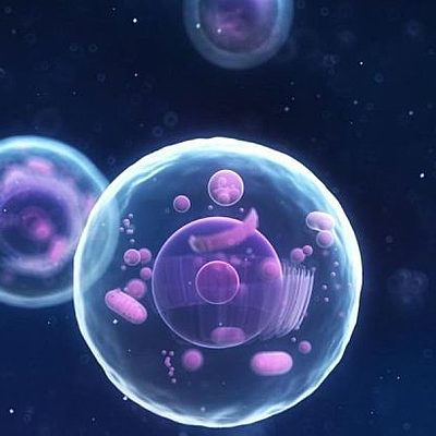 Timeline: Linea del tiempo de la célula