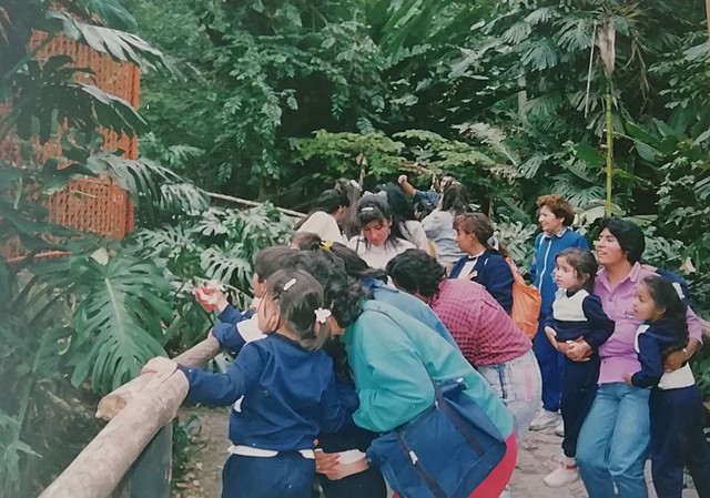 Visita al Zoológico Mesitas del Colegio